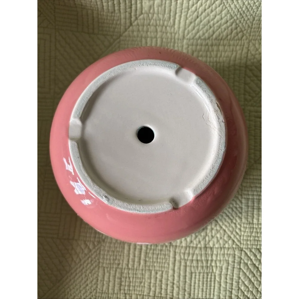 Pink Republic this vintage